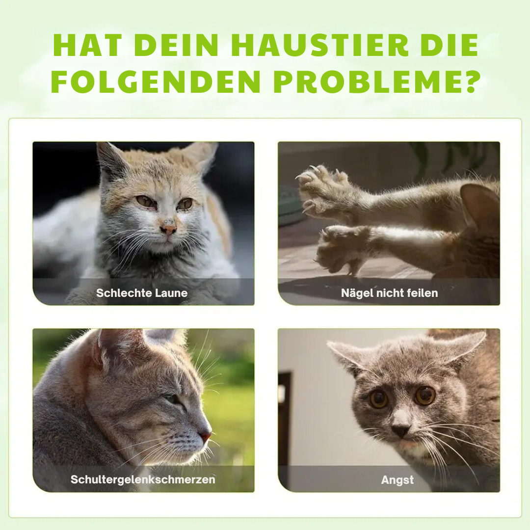 Natürliches Katzen Spray mit Silberwein-Extrakt zur Beruhigung und Anregung zum Spiel bei Katzen.