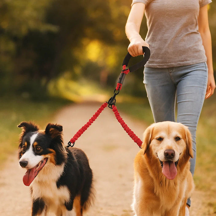 Komfortable Anti-Verheddern Doppel Hundeleine für zwei Hunde, erleichtert jeden Spaziergang und Gassi-Gang.