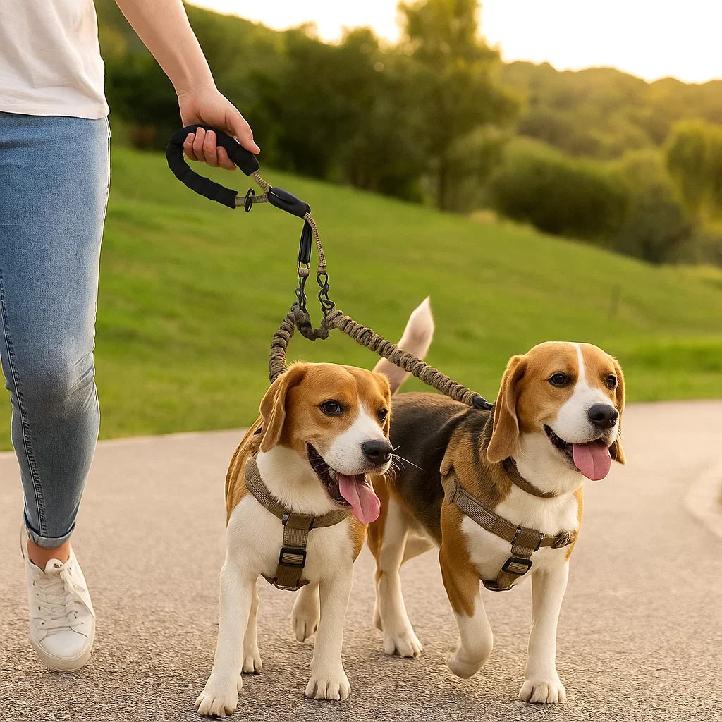 Rote Anti-Verheddern Doppel Hundeleine, sicheres Tierbedarf-Produkt für entspannte Outdoor-Erlebnisse mit 2 Hunden.