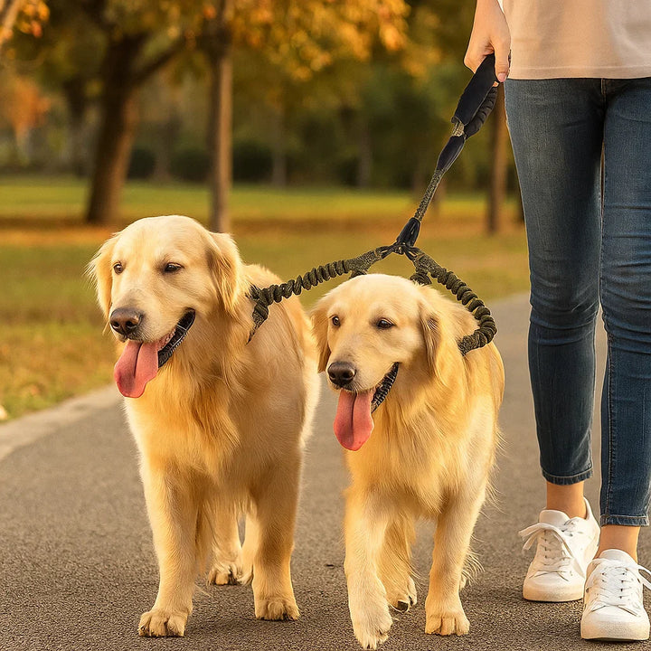 Hochwertige Doppel Hundeleine in kräftigem Blau, Anti-Verheddern Design für müheloses Gassi mit zwei Hunden.