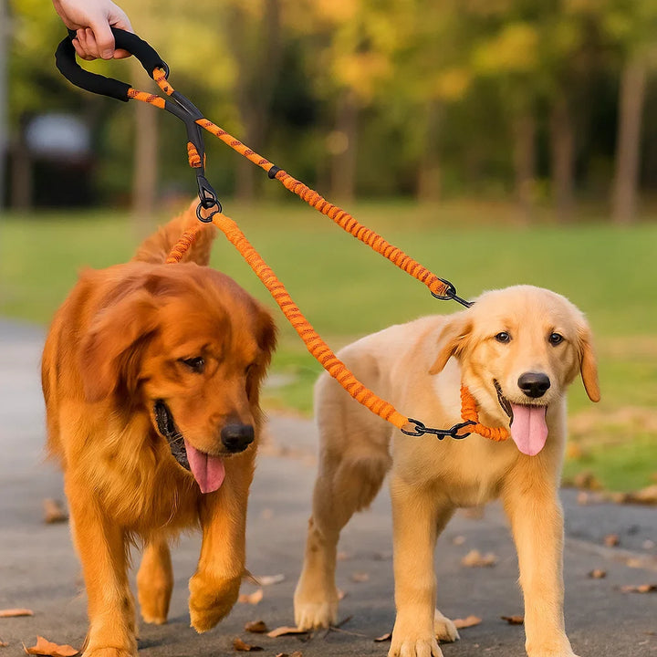 Anti-Verheddern Doppel Hundeleine in Schwarz, robustes Hundezubehör für Kontrolle & Sicherheit von 2 Hunden.