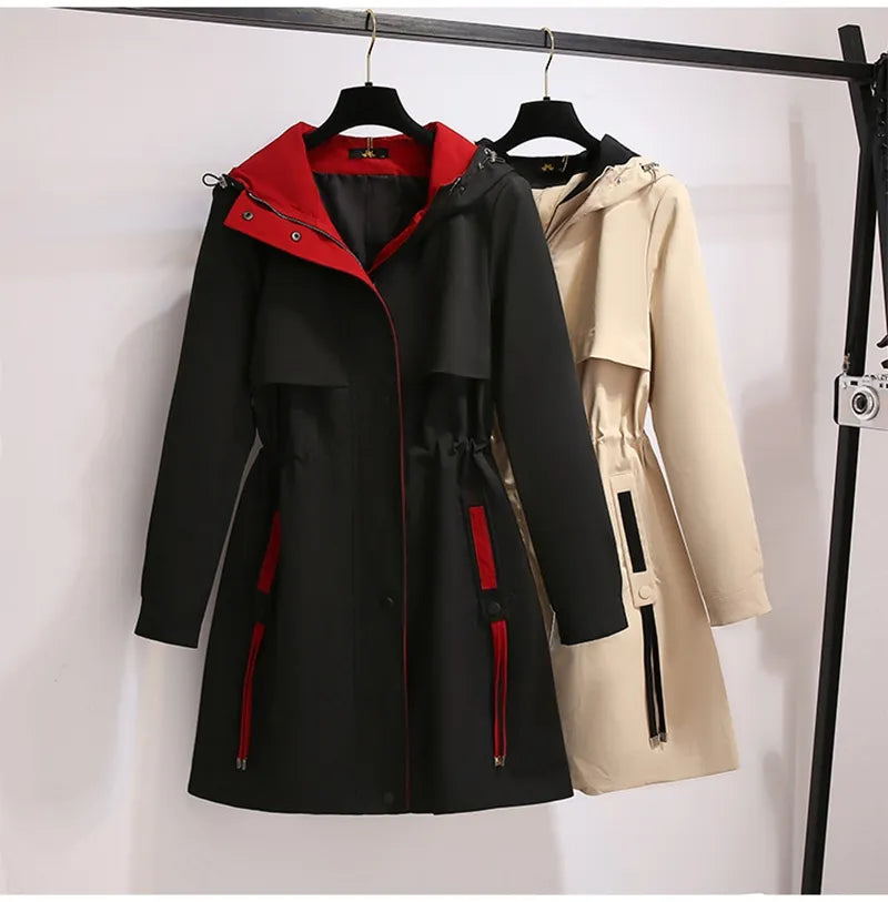 Moderne Damen Übergangsjacke in Übergröße, Windjacke mit Kapuze, perfekt für kühle Tage.