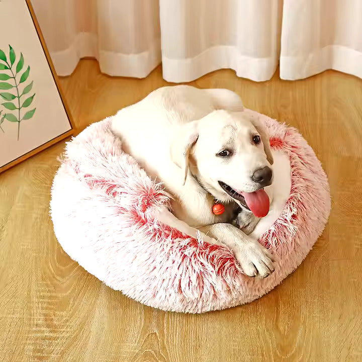 Graue Hunde Kuschelhöhle 2in1 aus Plüsch, waschbares Hundebett für Geborgenheit & warmen Rückzugsort.