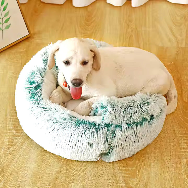 Weiche 2in1 Plüsch Kuschelhöhle für Hunde, gemütlicher Schlafplatz & waschbares Hundebett für Haustiere.