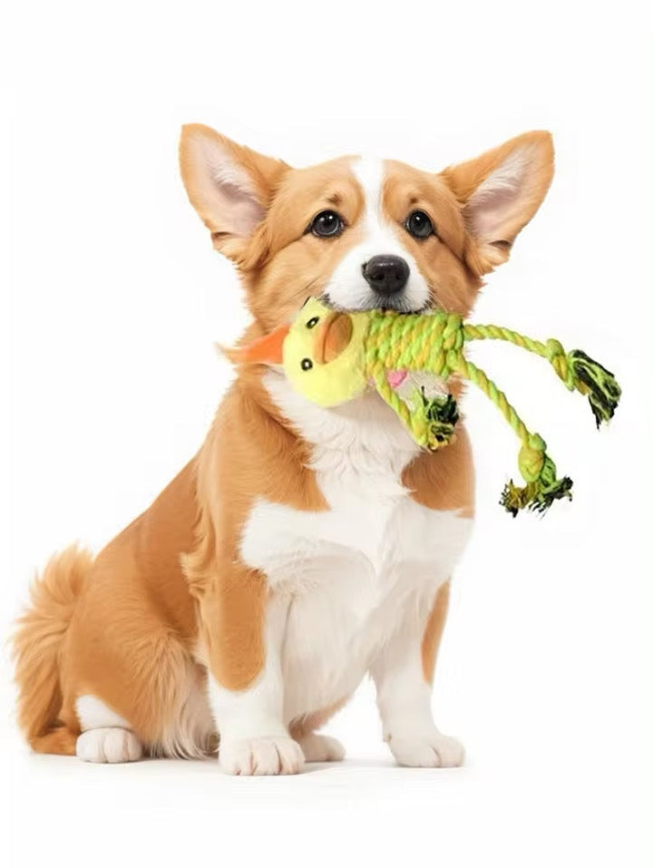Robustes Plüschtier-Hundespielzeug als Kauspielzeug, ideal für große Hunde & intensives Spielen.