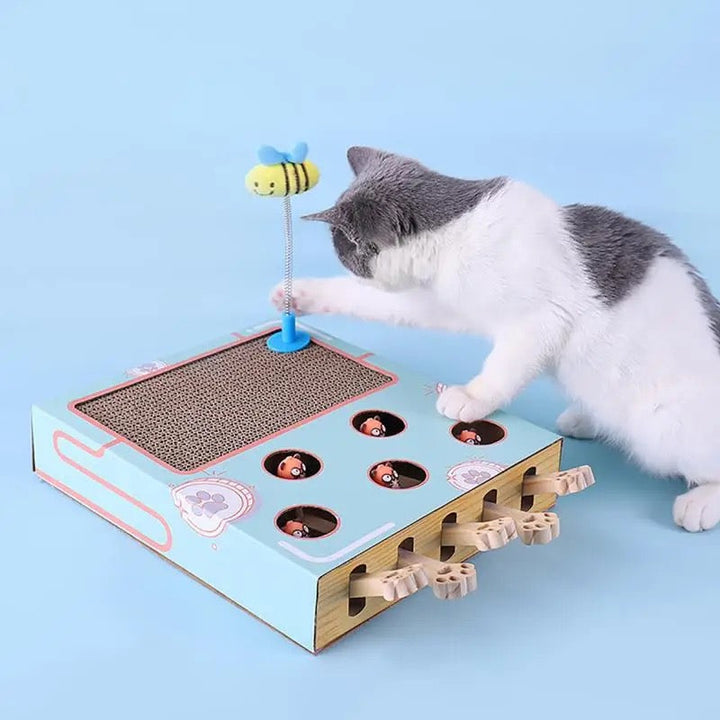 Stabile 3-in-1 Katzenspielbox mit integriertem Kratzbrett. Bietet Abwechslung und fördert natürlichen Jagdtrieb.