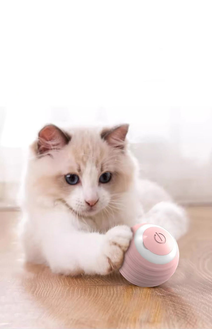 Robuster interaktiver Spielball für Katzen, hilft Stress abzubauen, fördert natürliche Jagdinstinkte der Katze.