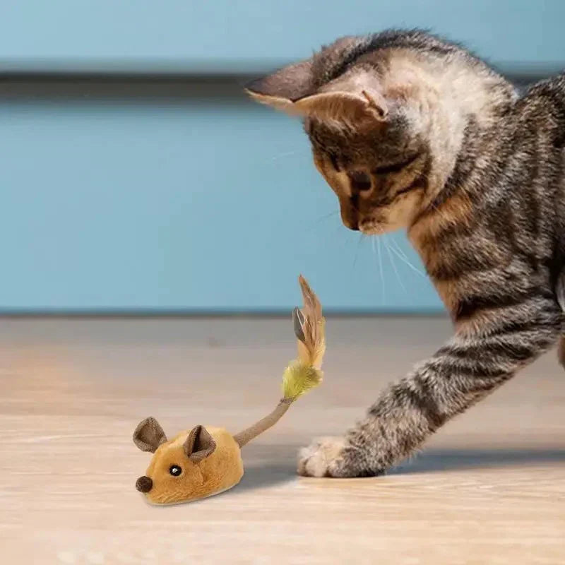 Interaktive Katzenmaus: Jagdspielzeug für aktive Wohnungskatzen, fördert spielerisch Bewegung und natürlichen Jagdinstinkt.