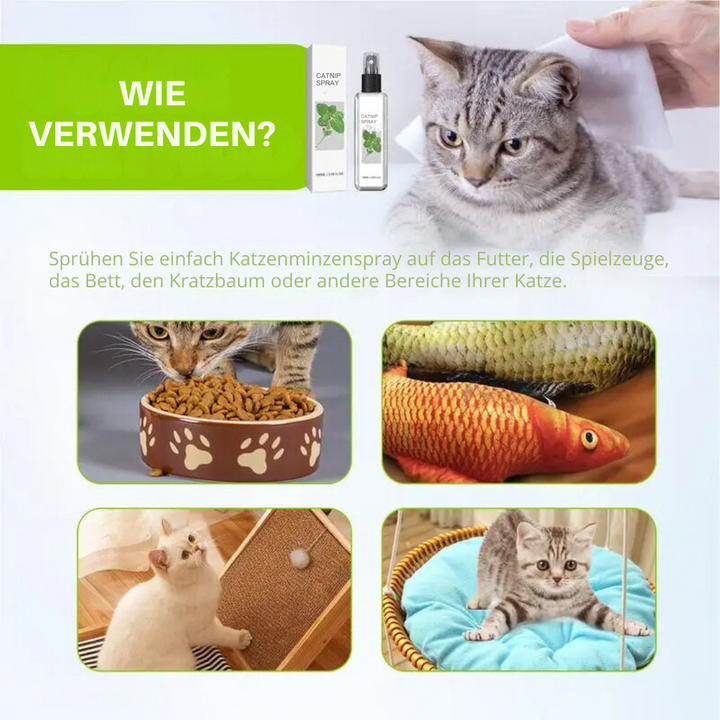 Sicherheits-Katzen Spray mit Silberwein für entspannte Katzen und lustiges Spiel, ideal für Verhaltensänderung.