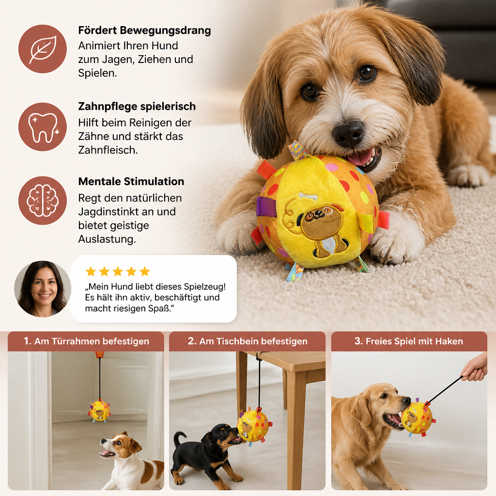 Dynamisches Hundespielzeug mit Spielseil & Ball zum Aufhängen. Fördert Auslastung & interaktiven Spielspaß bei Hunden.