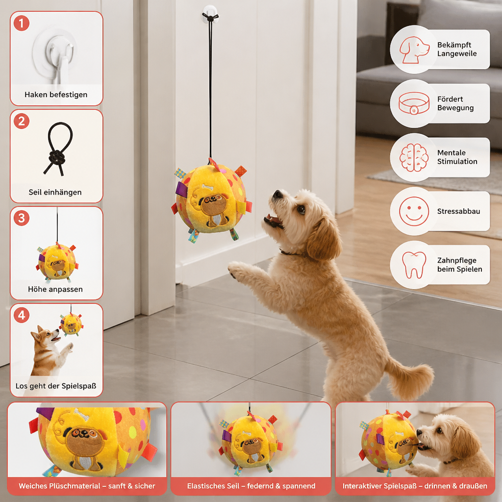 Langlebiges Hundespielzeug mit Haken & Seil für interaktives Spielen; ideal gegen Langeweile & für mehr Bewegung.