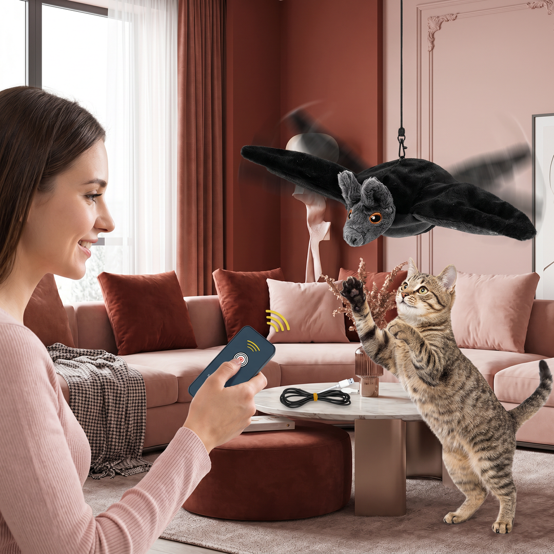 Interaktives Fledermaus Katzenspielzeug mit Katzenminze, ideal für Jagdinstinkt & Spielspaß bei Wohnungskatzen.