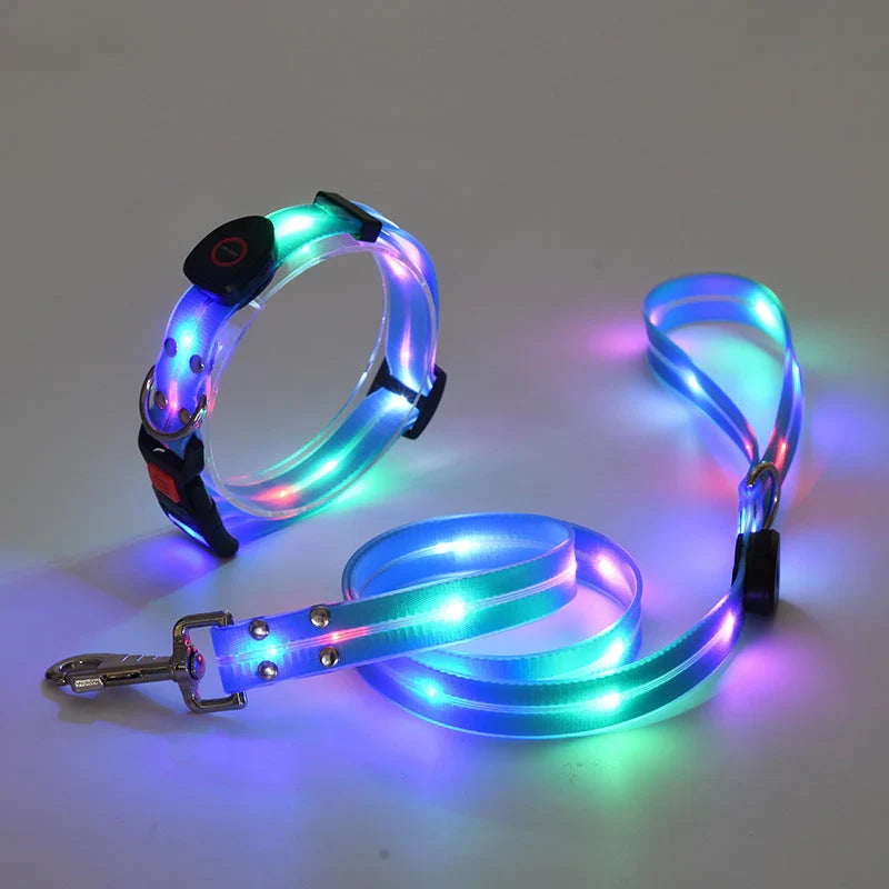 Hundehalsband mit LED Leine: Reflektierendes Leuchthalsband für sichere Nachtspaziergänge. Optimale Hundesicherheit.