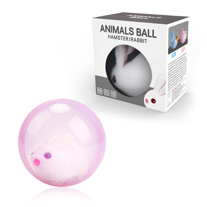 Katze spielt begeistert mit rollendem Hamster Spielzeug, interaktives Katzenspielzeug fördert den Spieltrieb aktiv.