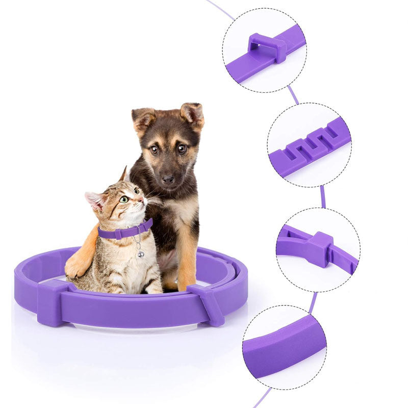 Hund mit Beruhigungshalsband. Das Pheromon-Halsband hilft bei Angst und Stress für ein entspanntes Tierwohl.
