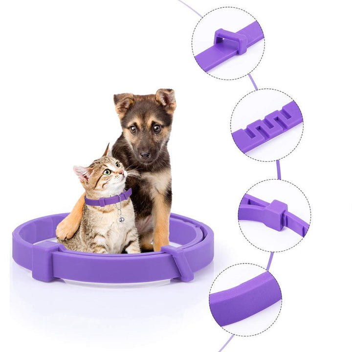 Hund mit Beruhigungshalsband. Das Pheromon-Halsband hilft bei Angst und Stress für ein entspanntes Tierwohl.