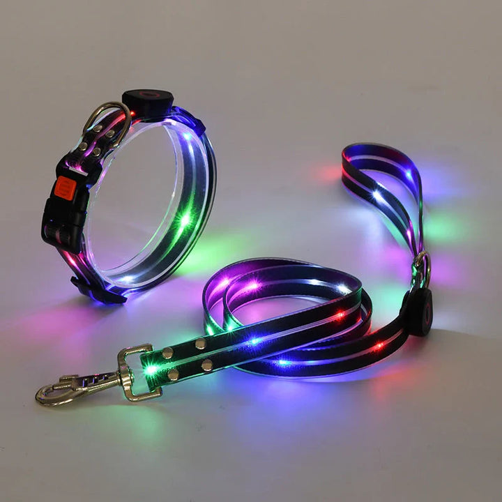 Set: Sicheres LED Hundehalsband & passende Leine für Nachtspaziergänge. Helles Leuchthalsband für optimale Hundesicherheit.