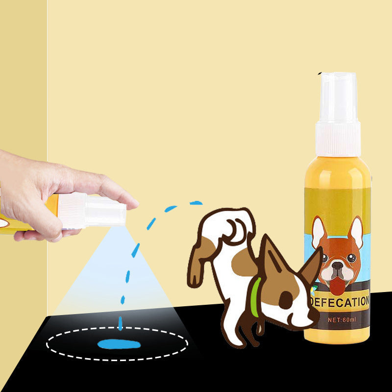 Welpe entdeckt seinen Trainingsplatz dank Stubenrein Spray für Hunde. Effektive Welpenerziehung.