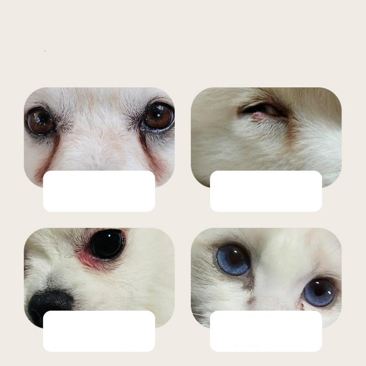 Sanfte Augenreinigungstücher für Welpen, Hunde & Katzen. Effektiver Tränenfleckenentferner für strahlende Augen.
