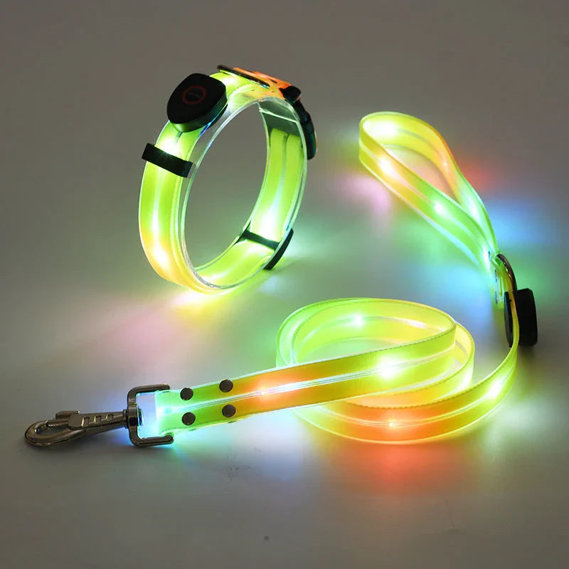 Leuchtendes LED Hundehalsband & Leine Set für bessere Sichtbarkeit bei Nacht. Sicheres, wiederaufladbares Nylonhalsband.