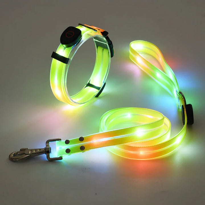 Leuchtendes LED Hundehalsband & Leine Set für bessere Sichtbarkeit bei Nacht. Sicheres, wiederaufladbares Nylonhalsband.