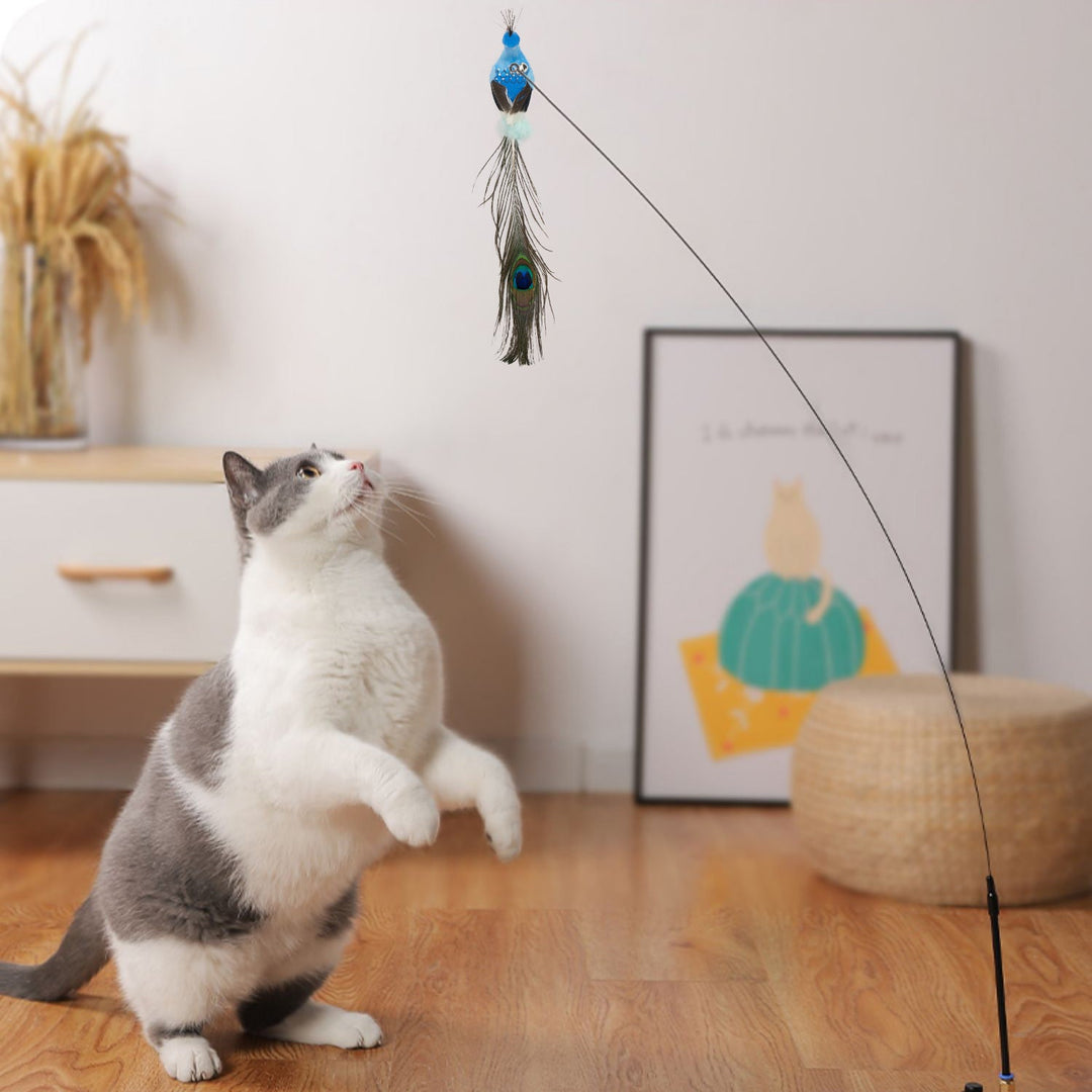 Detailansicht des interaktiven Vogel-Katzenspielzeugs. Robustes Spielzeugkatze Zubehör für Haustiere & Kätzchen.
