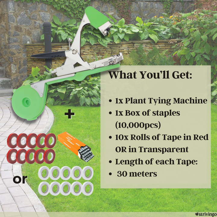 Automatische Pflanzenbindemaschine beschleunigt Gartenarbeit, effizienter Gartenhelfer für sichere Pflanzenbindung.
