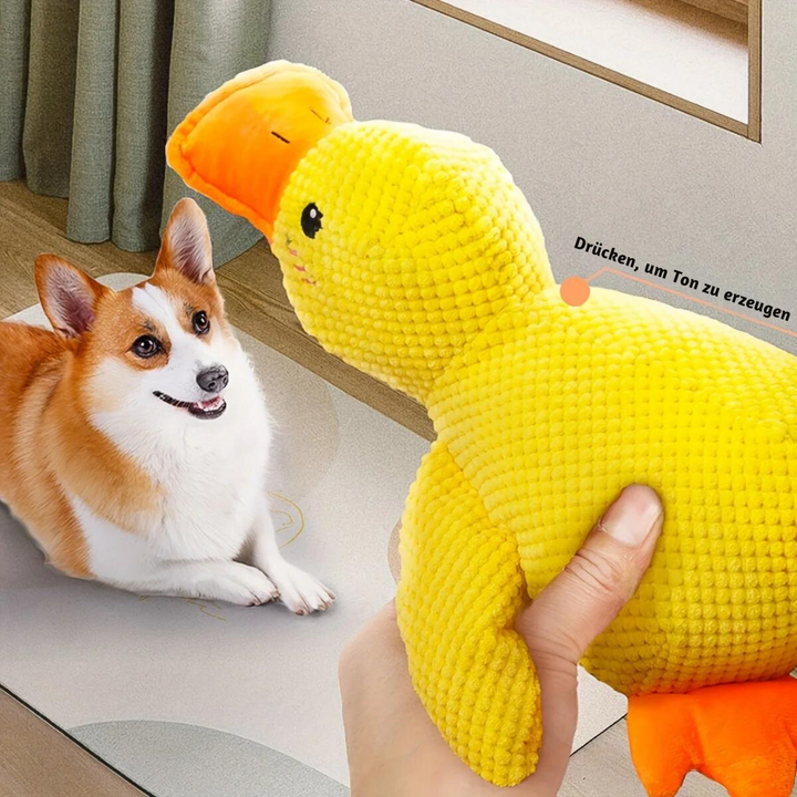 Haustier Anti-Stress Ente, ein robustes, gelb-grünes Quietscher-Plüschtier für Hunde. Hilft beim Stressabbau.