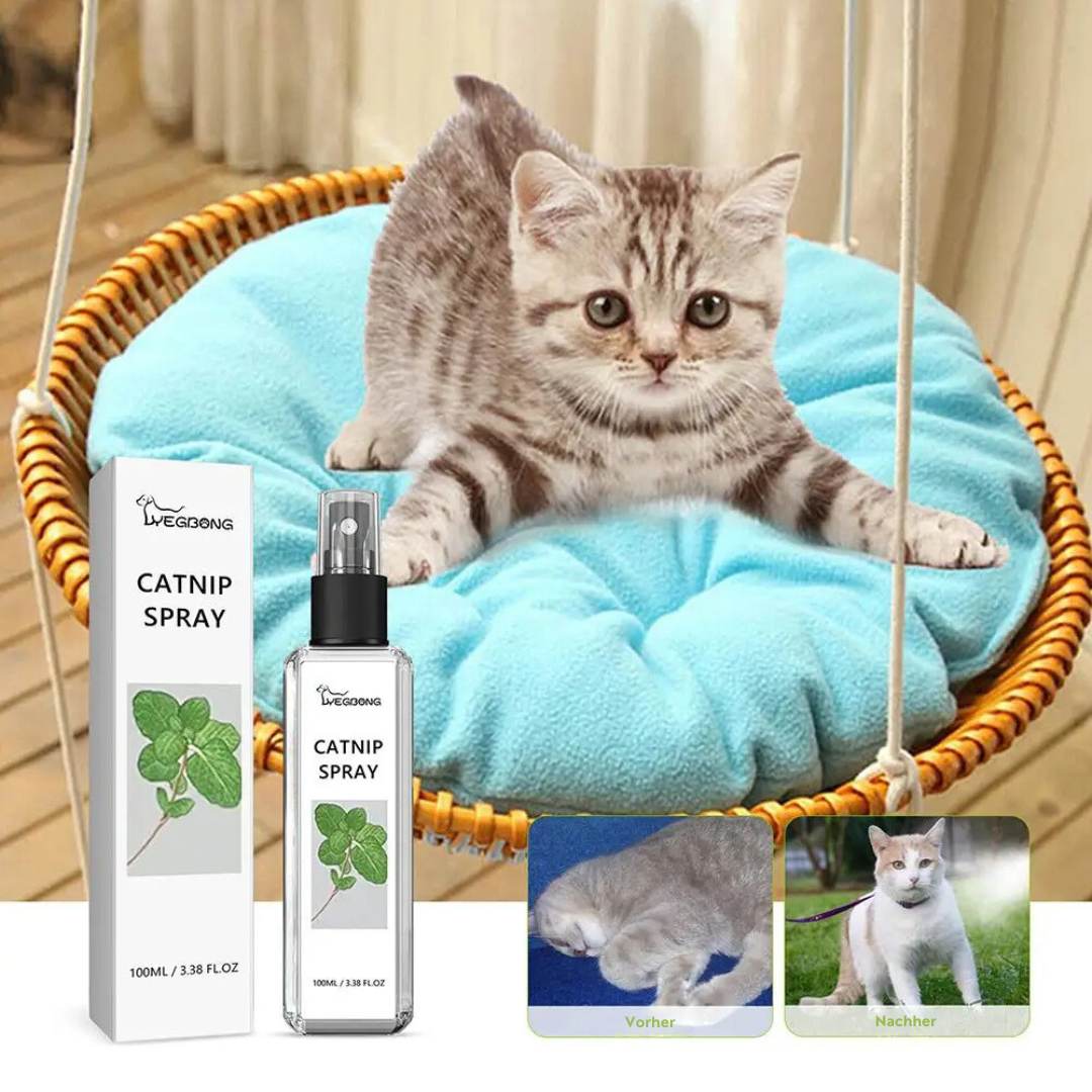 Katzen Spray mit natürlichem Silberwein für Entspannung & Spiel, fördert positives Katzenverhalten.