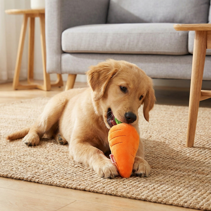 Helles, quietschendes Karotten Hundespielzeug für aktive Hunde und Stressabbau.