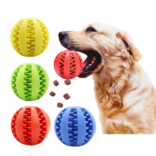 Hunde Leckerli Kauball zur Zahnreinigung & Zahnpflege. Robustes Hundespielzeug für gesunde Hundezähne.
