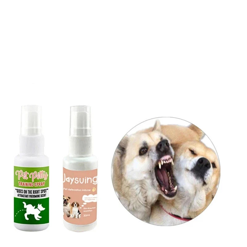 Welpe lernt Stubenreinheit mit Hundetraining Spray. Ideale Sauberkeitserziehung für junge Hunde. Tierpflege Produkt.