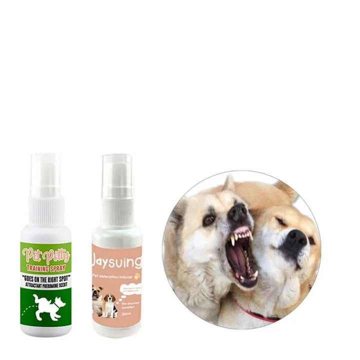 Welpe lernt Stubenreinheit mit Hundetraining Spray. Ideale Sauberkeitserziehung für junge Hunde. Tierpflege Produkt.