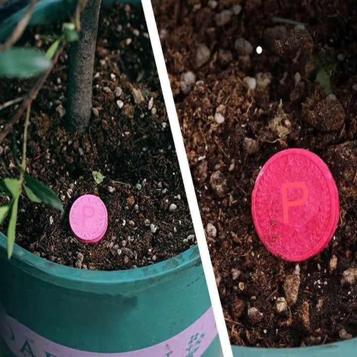 Natürliche Düngetabletten für Blumen und Gemüsepflanzen. Biologischer Langzeitdünger für optimales Wachstum.