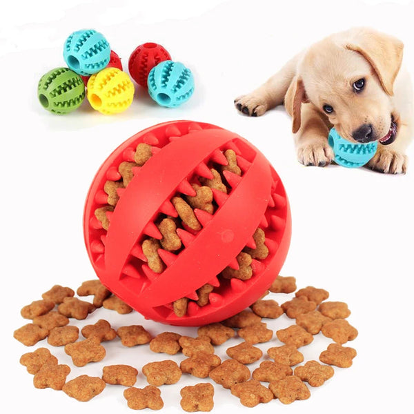 Interaktiver Kauball für Hunde mit Leckerli-Funktion. Fördert Zahnpflege, Spielspaß und Zahnreinigung.