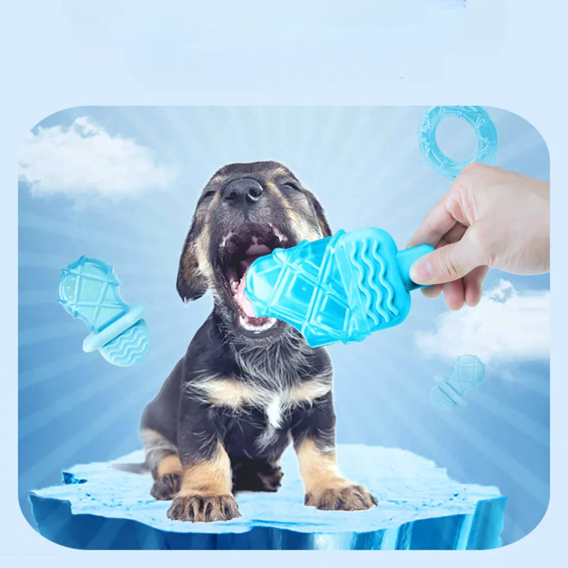 Hund beim Spielen mit gefrorenem Kauspielzeug, erfrischt und beschäftigt an warmen Sommertagen.