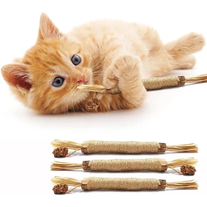 Glückliche Katze spielt mit einem Zahnpflege-Kaustick, der gleichzeitig für frischen Atem sorgt.
