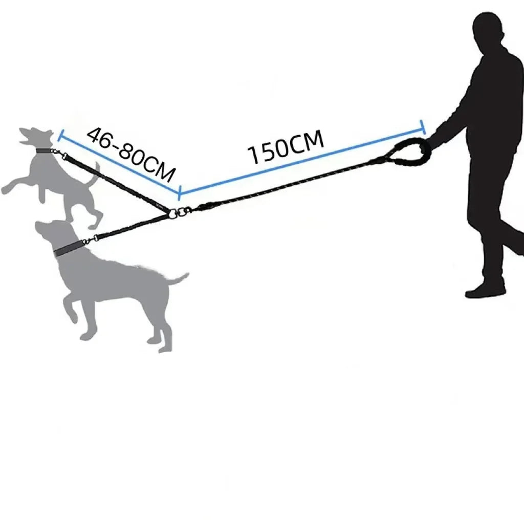 Robuste Doppelleine, verhedderungsfrei, für zwei Hunde. Perfektes Hundezubehör für aktive Spaziergänge.