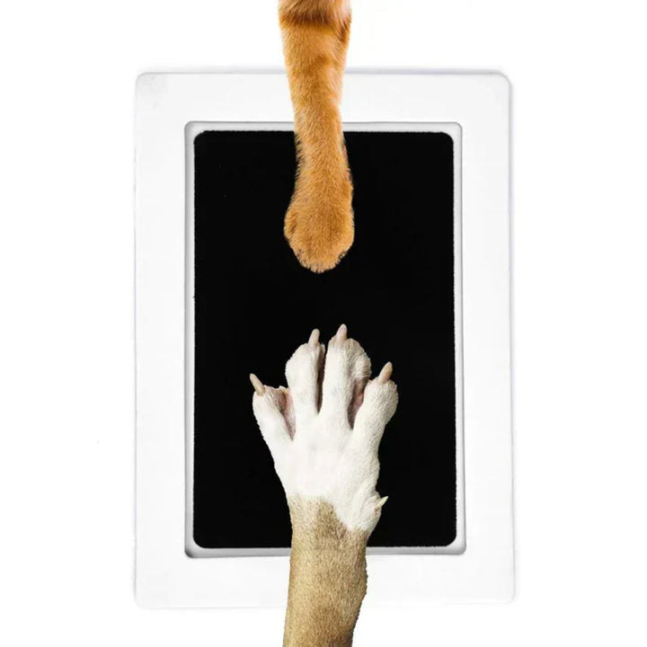 Einzigartiges Pfotenabdruck-Set für Haustiere als liebevolles Andenken. Perfektes Tiergeschenk für Hund & Katze.
