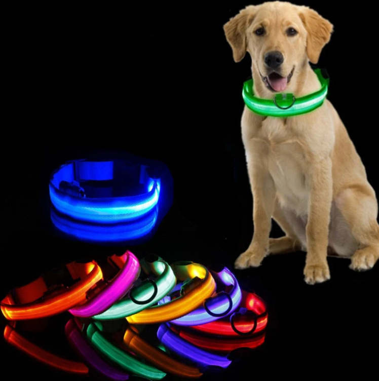 Leuchtendes LED-Hundehalsband in Grün für erhöhte Sichtbarkeit und sichere Nachtspaziergänge mit Ihrem Hund.