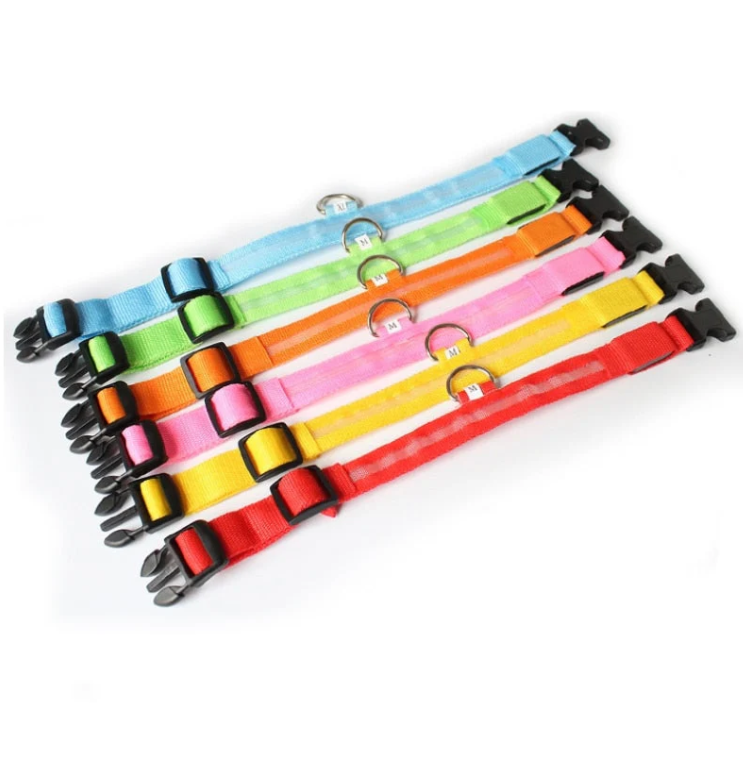 Komfortables LED-Leuchthalsband für Hunde, gut sichtbar in der Dämmerung und bei Nacht. Wichtiges Hundezubehör.