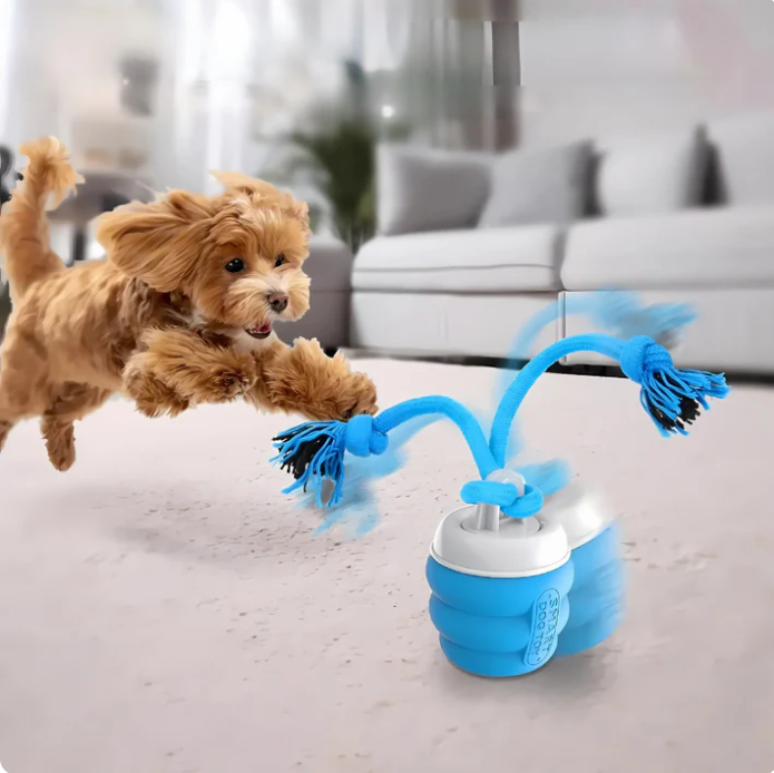 Interaktives Hundespielzeug für Denk- & Bewegungsspaß, fördert Aktivität & Intelligenz des Hundes.