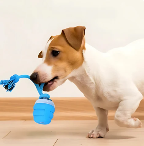 Vielseitiges interaktives Hundespielzeug für Denken, Kauen & Bewegung, langlebig und sicher.