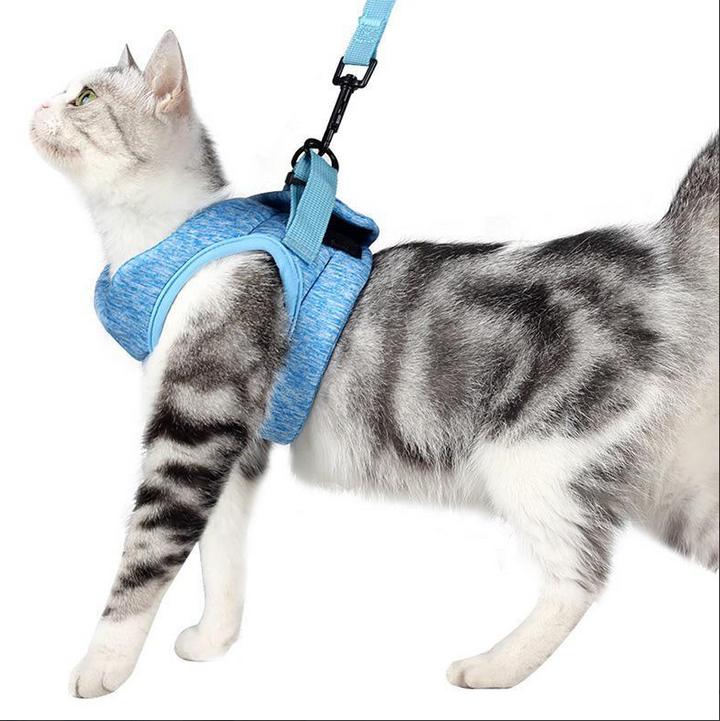 Schwarzes, ausbruchsicheres Katzengeschirr mit Leine; ideal für sichere Spaziergänge & Outdoor-Abenteuer.