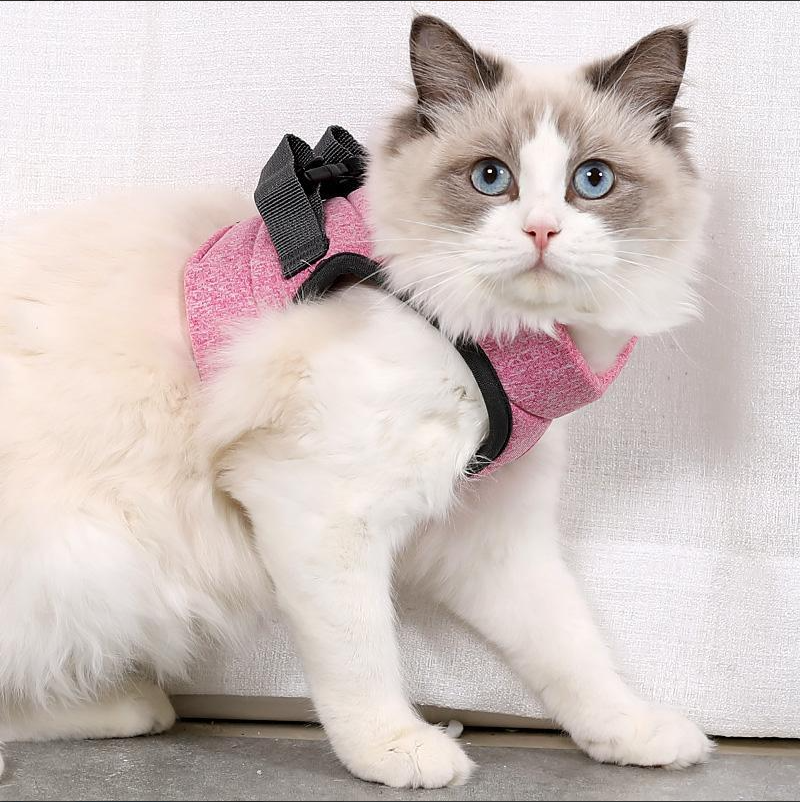 Nahaufnahme eines ausbruchsicheren Katzengeschirrs aus robustem Nylon, bereit für den nächsten Ausflug.