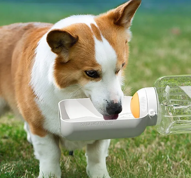 2-in-1 Hundetrinkflasche mit integriertem Futterbehälter für unterwegs; BPA-frei & praktisch.