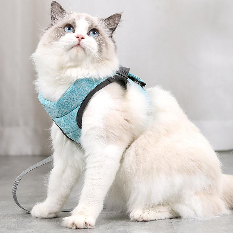 Bequemes, leichtes Katzengeschirr mit Leine in eleganter Optik; ein Muss für jeden Katzenbesitzer.