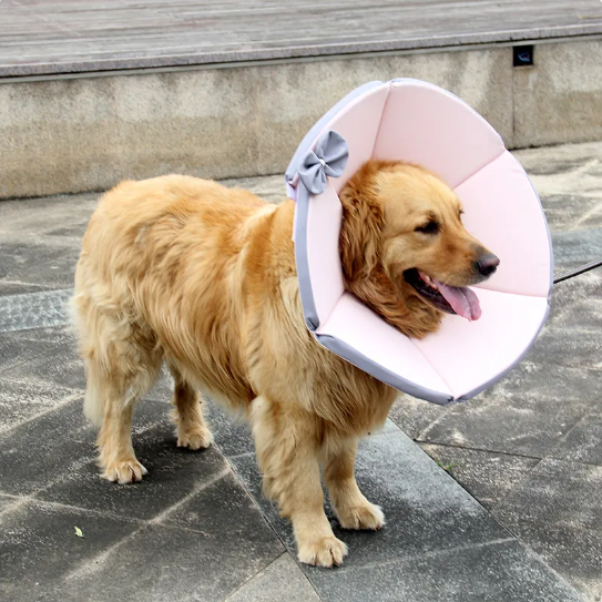 Sicherer, komfortabler Schutzkragen für Hunde. Hundezubehör zur Genesung, weich und haustierfreundlich.