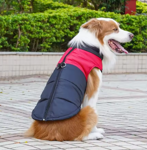 Wasserfeste, warme & winddichte Hundejacke für Outdoor-Abenteuer. Perfekt für Winter-Hundespaziergänge.