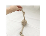 Ballpeitsche